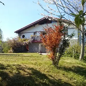 Mote , Mutriku España